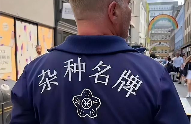 文化衫 文化衫定制 中文文化衫定制-留学生的文化衫上印着的中文极具特色，网友们在评论区笑翻了，纷纷表示“拆”字是整件衣服的灵魂所在